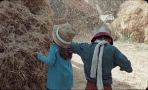 Lazzaro felice
