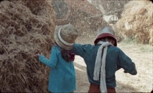 Lazzaro felice