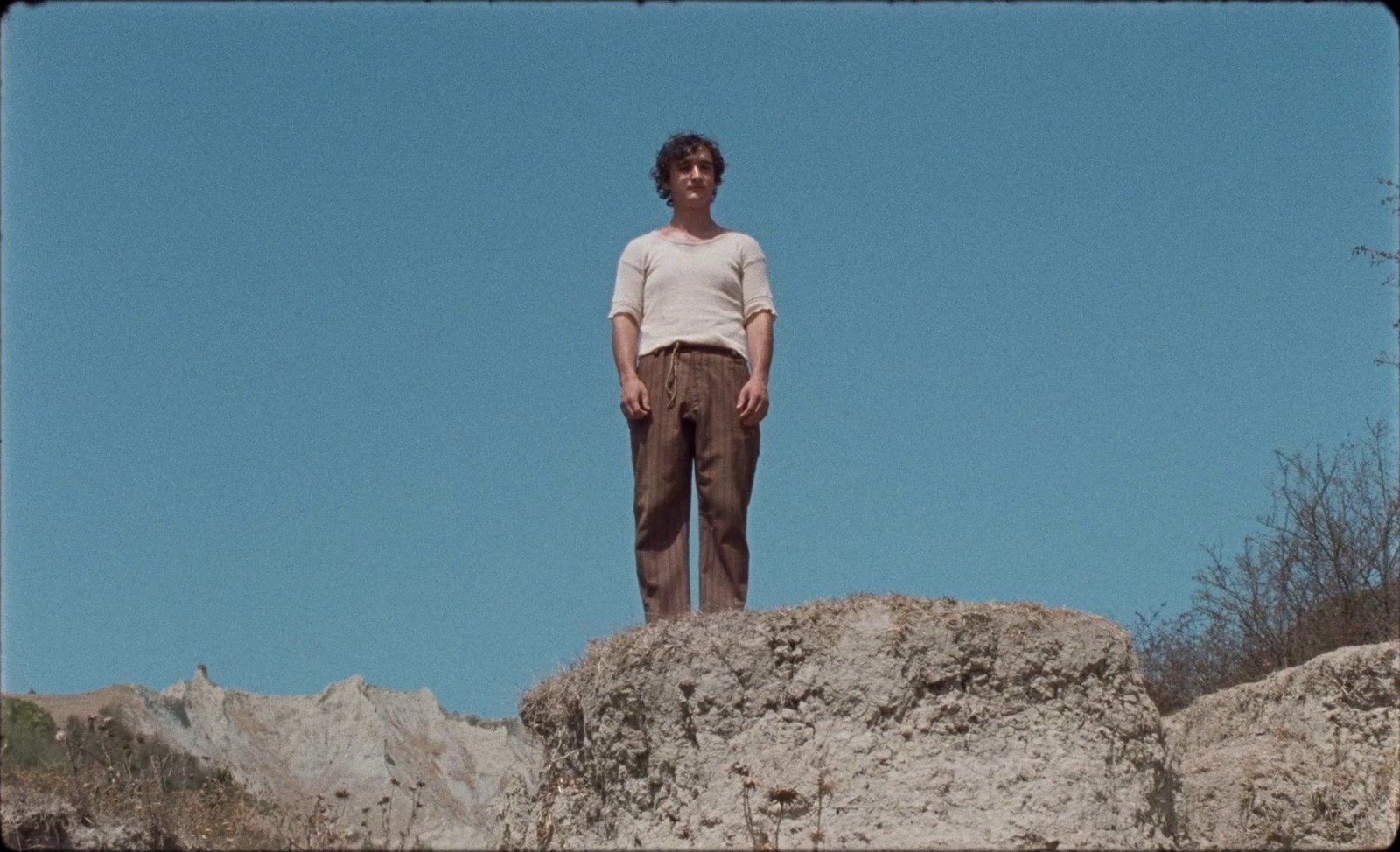 Lazzaro felice