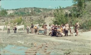 Lazzaro felice