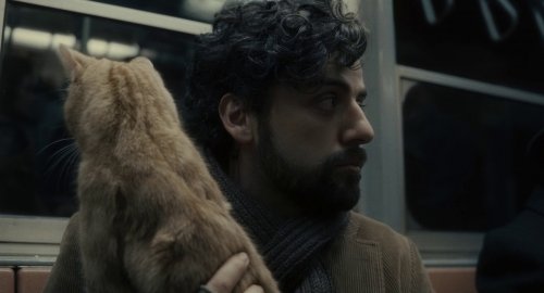 A Proposito di Davis – Odissea di un Eterno Perdente