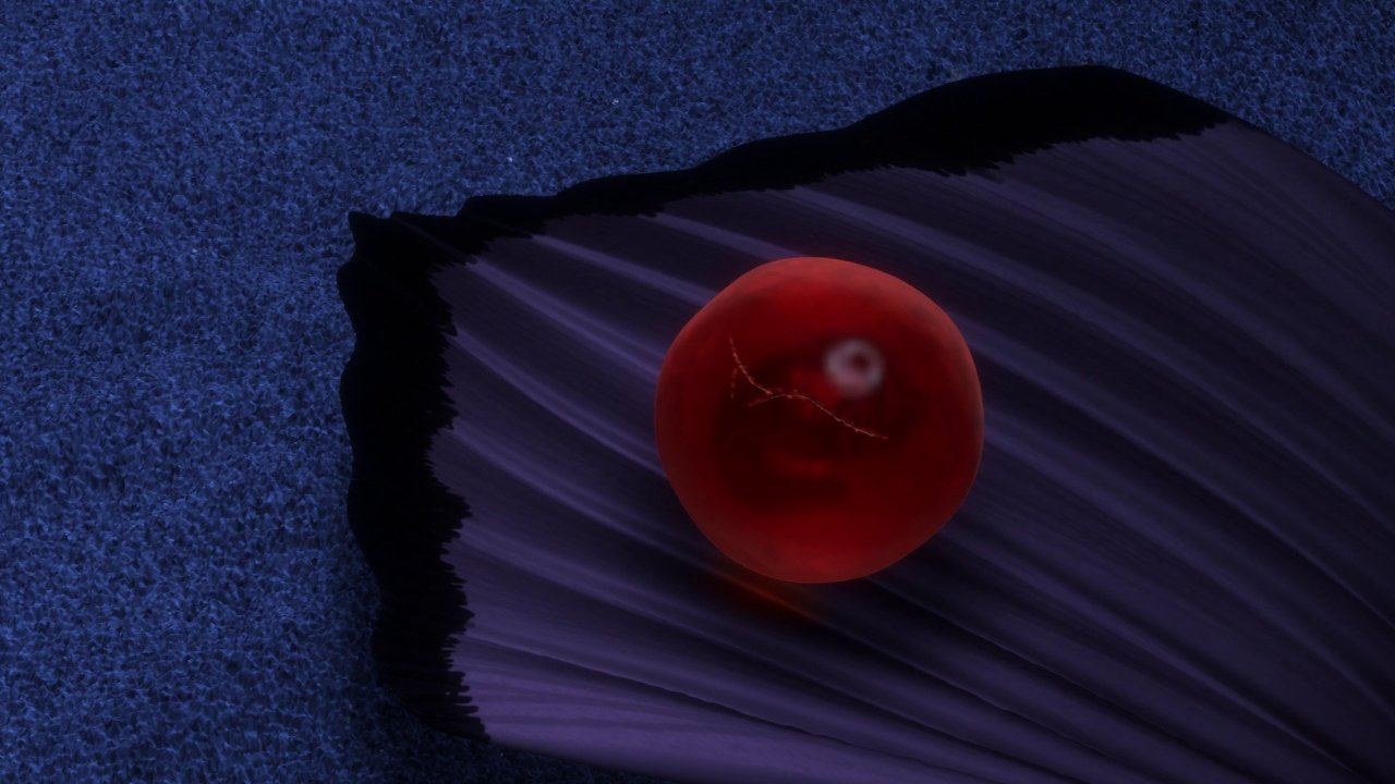 Alla ricerca di Nemo