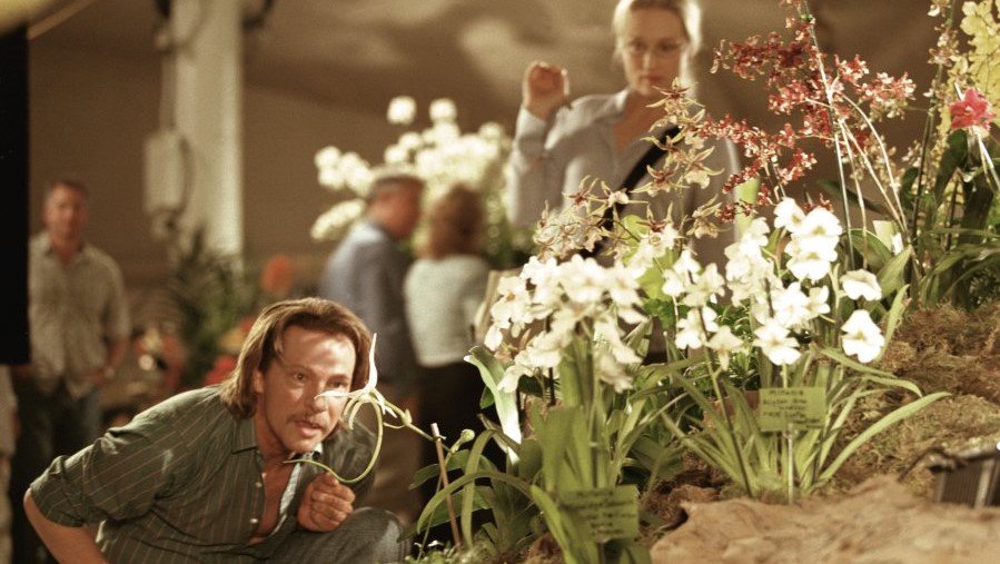 Charlie Kaufman, ladro di orchidee