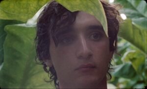 Lazzaro felice