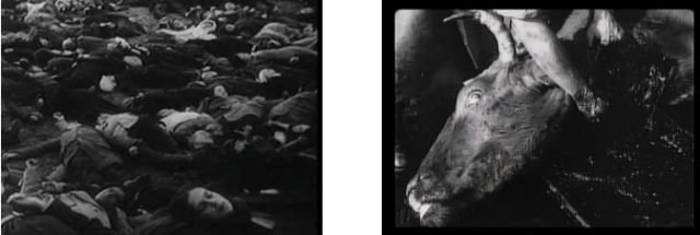 Il regista sovietico Ejzenštejn denuncia il montaggio, cinematografico e non, come principio interpretante del reale e veicolo di conoscenza.