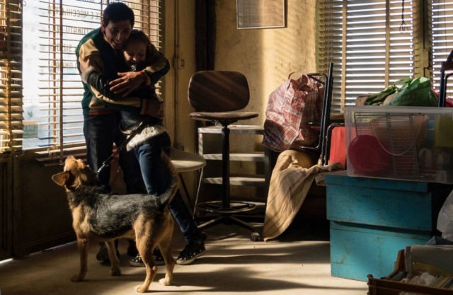 Dogman mostra la mancanza di arbitrio, di potenza, e il bisogno di riscontro sociale di Marcello, la sua minorità di fanciullo e di animale.