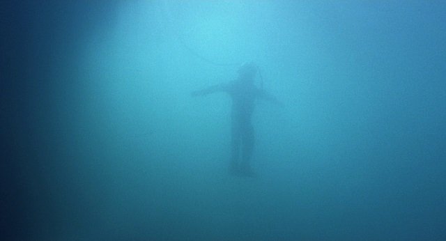 Lo scafandro e la farfalla