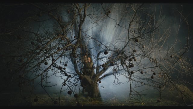 Olma Djon di Victoria Yakubova narra di come sia necessario il ricordo delle proprie radici per progredire e superare i momenti più difficili.