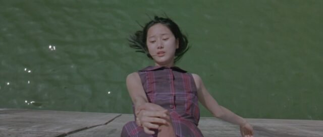 Park Chan-wook con Oldboy realizza un ritratto spietato di un Edipo contemporaneo, animato dalla spasmodica ricerca di verità e di vendetta.