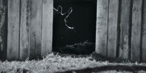 Victor Kossakovsky con Gunda, opera documentarisica d'evidente valore, racconta la vita e la famiglia, legando a noi, il regno animale.