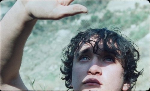 Lazzaro felice