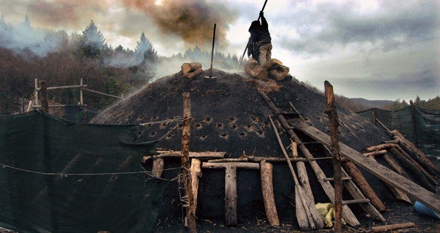 Le quattro volte (2010) - Michelangelo Frammartino