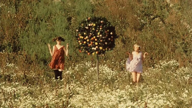 Daisies, Sedmikrasky, Le margheritine, 1966, Vera Chytilova
