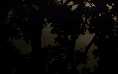 Waking Hours: il buio come spazio liminale – Intervista a Federico Cammarata e Filippo Foscarini