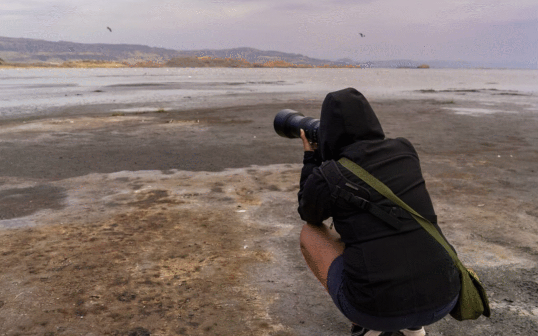 Giffoni Hub e Avventure in primo piano – Call for Directors