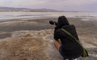 Giffoni Hub e Avventure in primo piano – Call for Directors