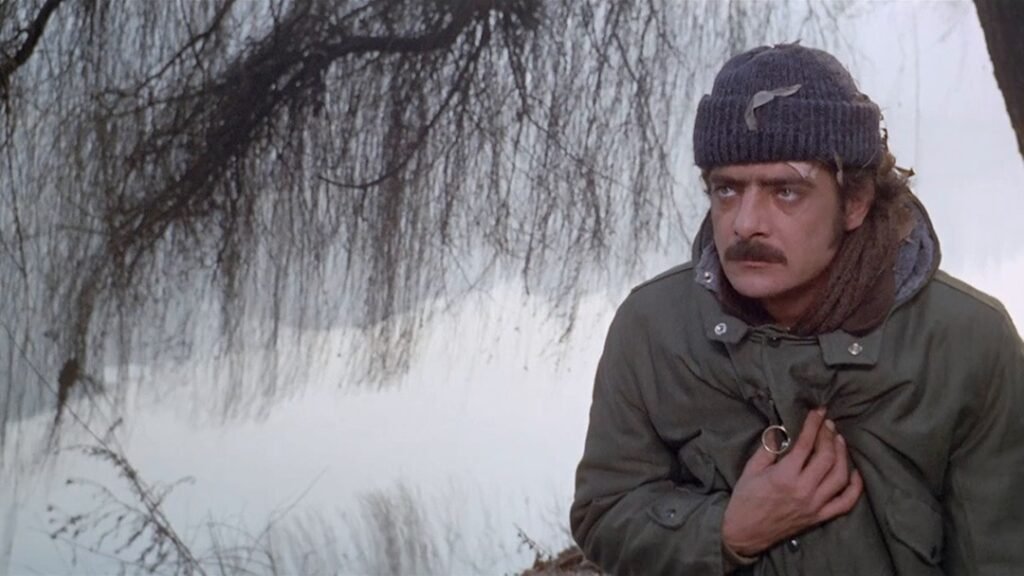 Significato di Mimì Metallurgico ferito nell'onore 