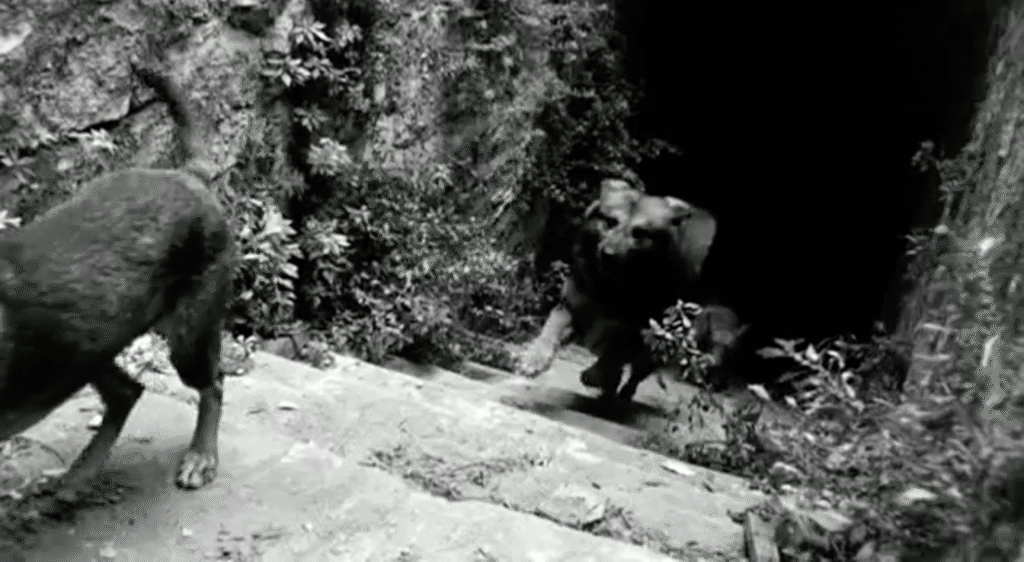 Lo zio di Brooklyn di Ciprì e Maresco, 1995